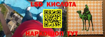 гашик Будённовск