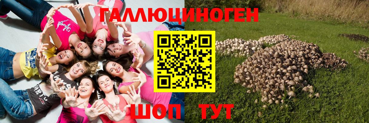 Галлюциногенные грибы Psilocybine cubensis  Вход с VPN  Барабинск 